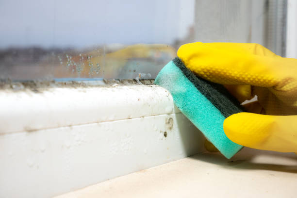 Best Residential Mold Inspection & Testing  in Scottsdale, AZ